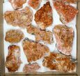 Lot - Pink and Orange Bladed Barite - Pieces #103745-1